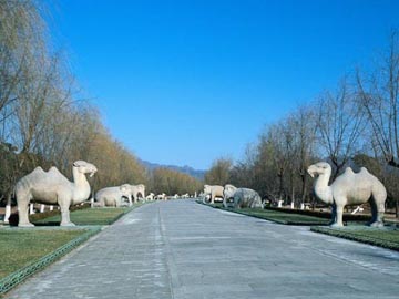 the sacred way with stone animal of the ming tomb